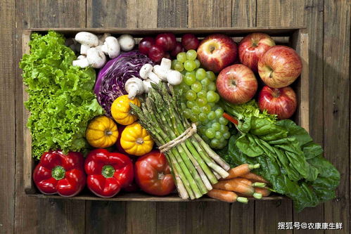 深圳市龍華區(qū)供港蔬菜首次出口 餐飲管理的協(xié)同創(chuàng)新與市場機(jī)遇